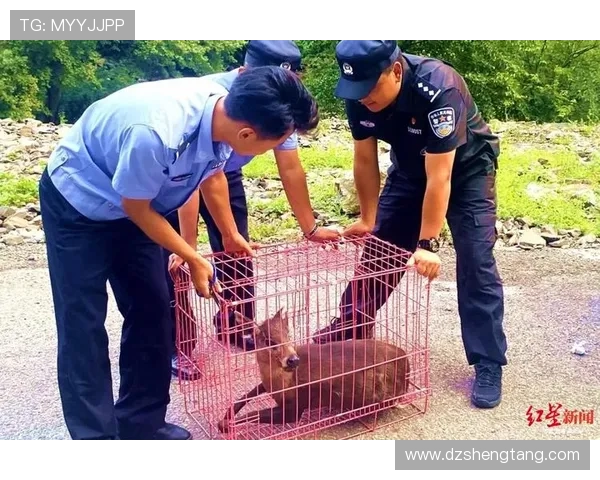 63岁智利传奇门将在友谊赛突发心脏骤停幸得及时救治转危为安